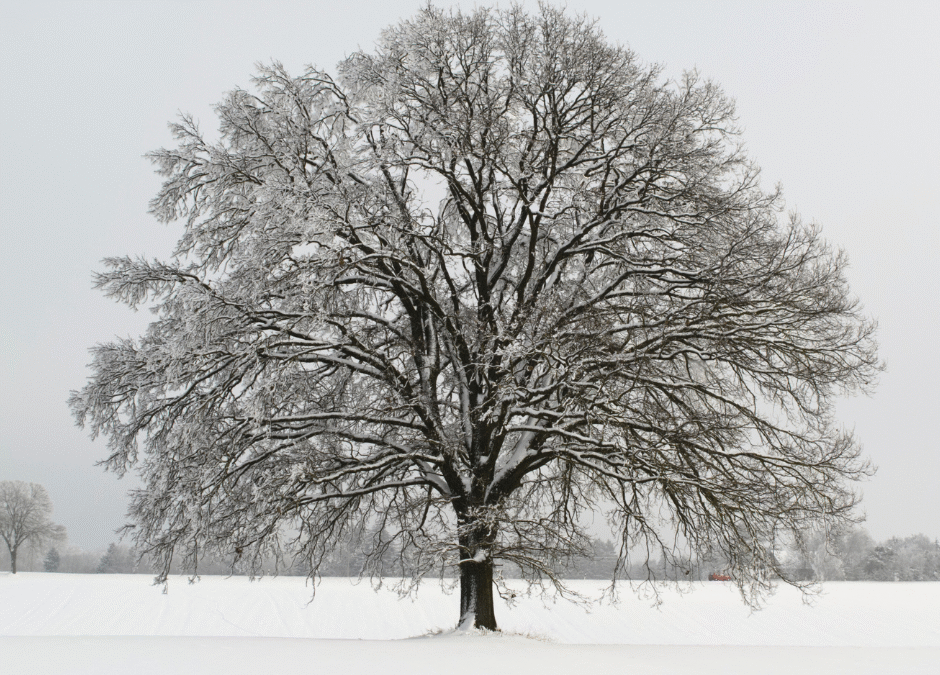 Vuodenajat ja kuukaudet