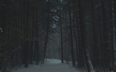 Det finske kasussystem: skal man virkelig lære alle 20 kasus?